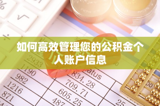 专属如何高效管理您的公积金个人账户信息