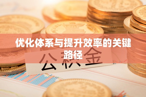 专属优化体系与提升效率的关键路径