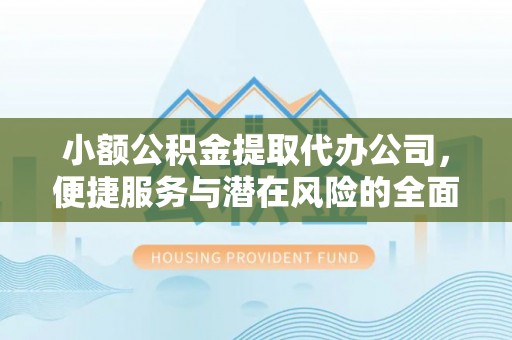 专属小额公积金提取代办公司，便捷服务与潜在风险的全面解析