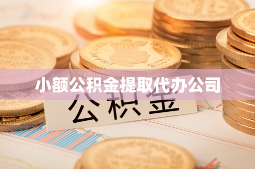 专属小额公积金提取代办公司