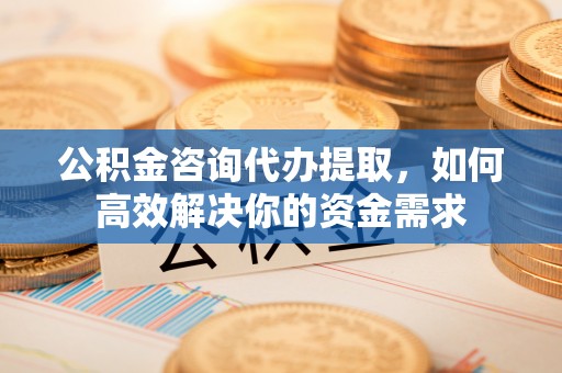 专属公积金咨询代办提取，如何高效解决你的资金需求