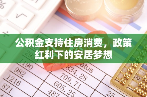 专属公积金支持住房消费，政策红利下的安居梦想