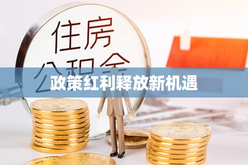专属政策红利释放新机遇